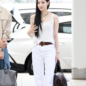 36위 [올데이프로젝트 애니] HERMES 에르메스 빅토리아2 푸르투 35 끌레망스 71COLOR